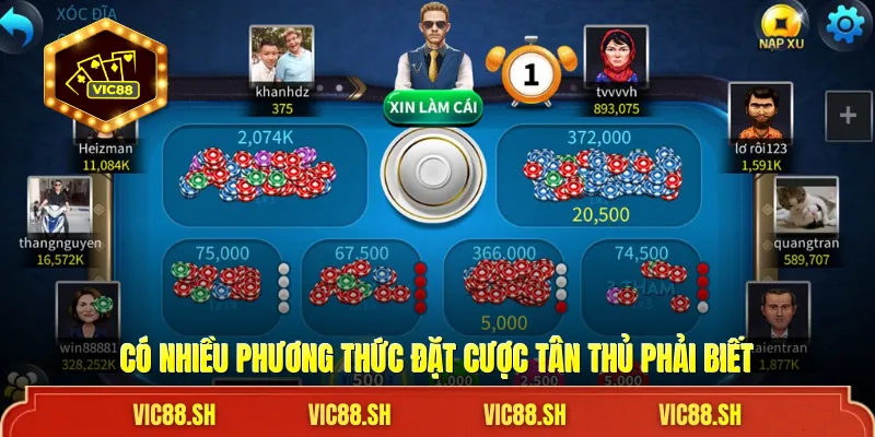 Có nhiều phương thức đặt cược tân thủ phải biết